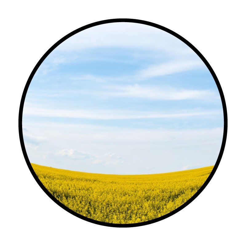 Panneau miroir multi-usages